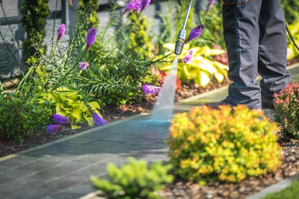 Trusted Orono, MN Pressure Washing Services Experts
